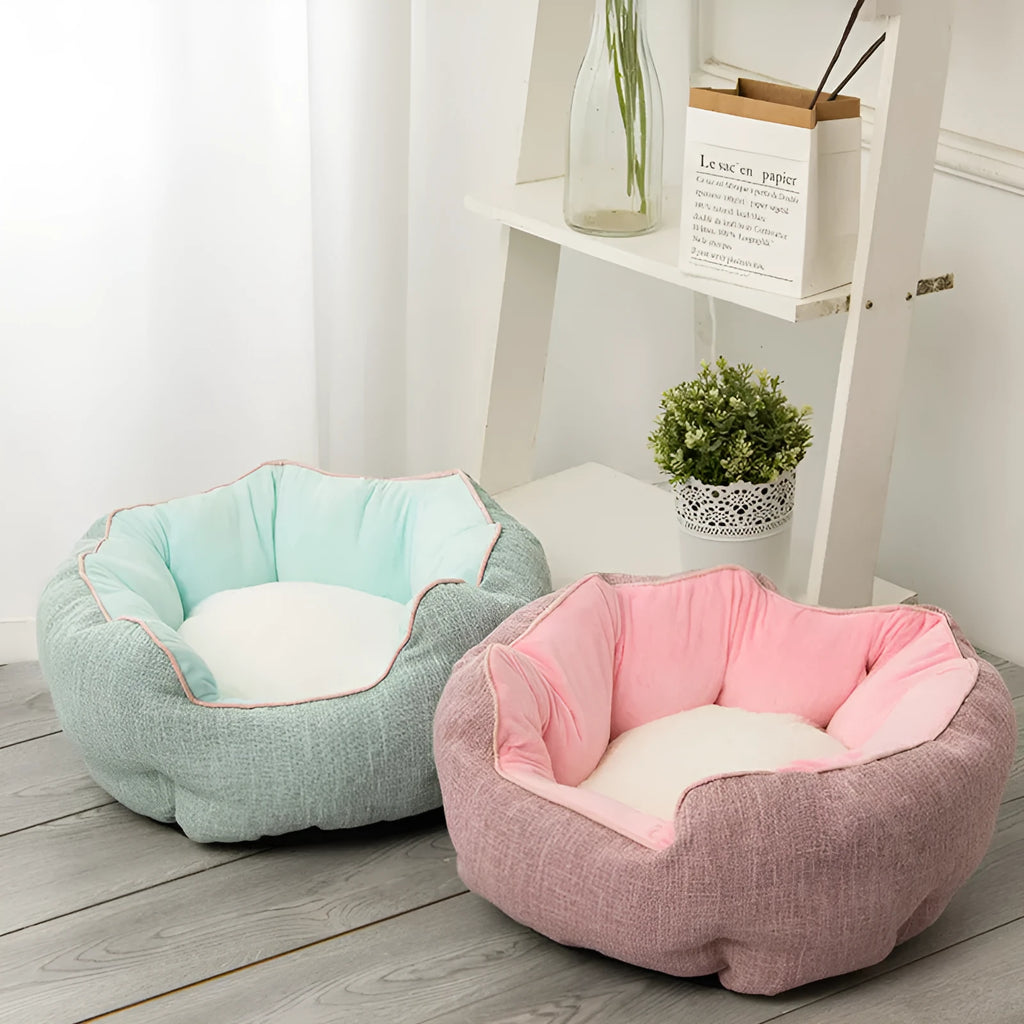 Blue octagonal pet bed with soft wool point design and removable mat for a small dog.
