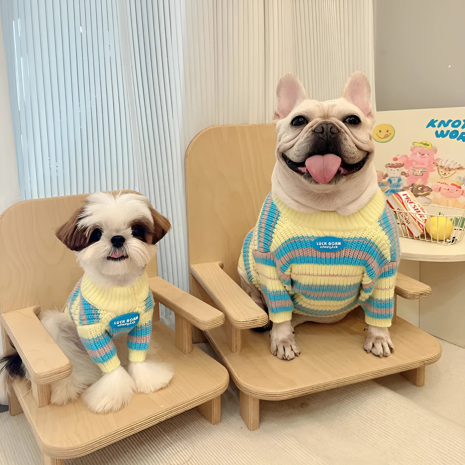 Blue and yellow striped dog sweater for small breeds shown on mannequin