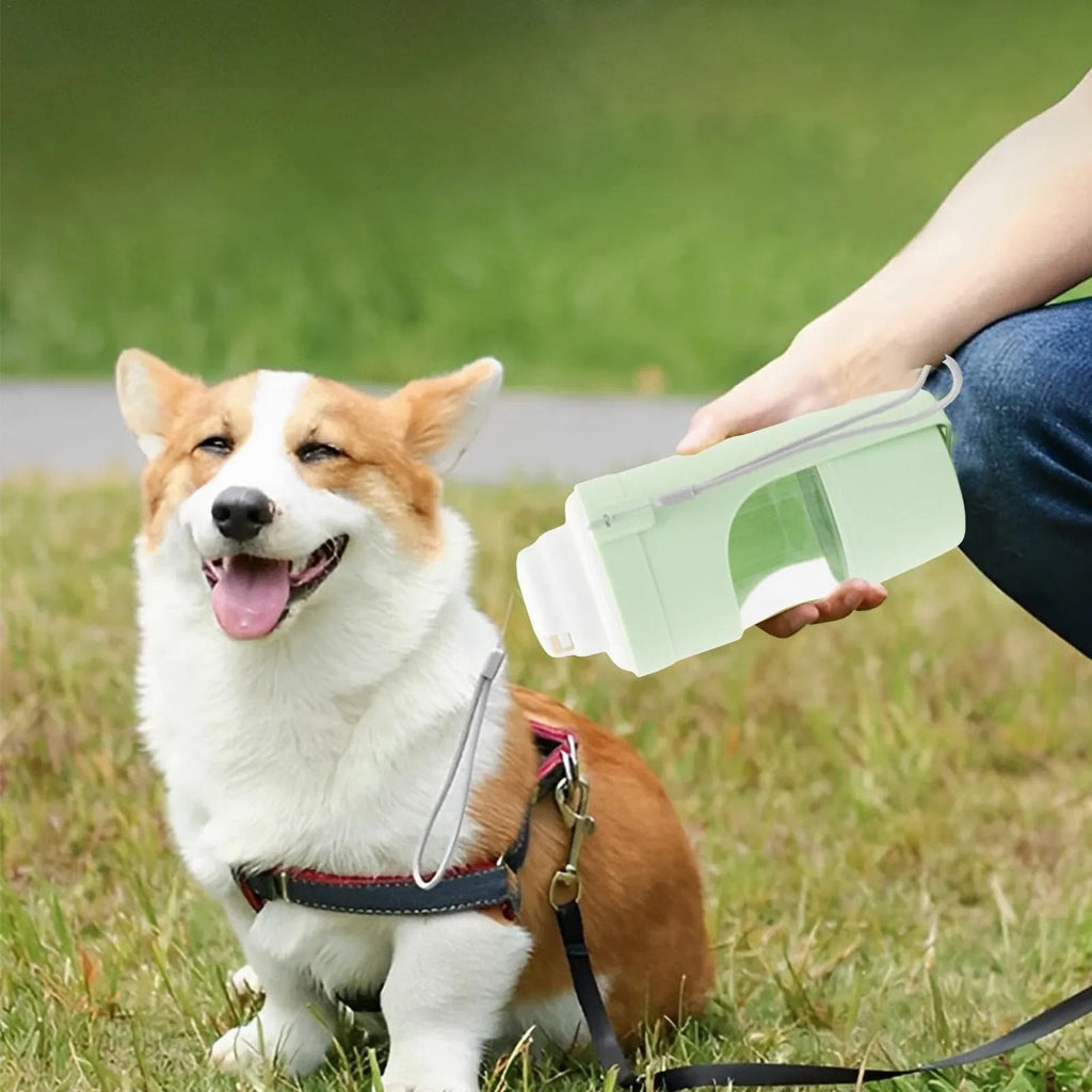 Grey folding travel dog water bottle with attached lanyard and separate food container, shown next to a backpack.