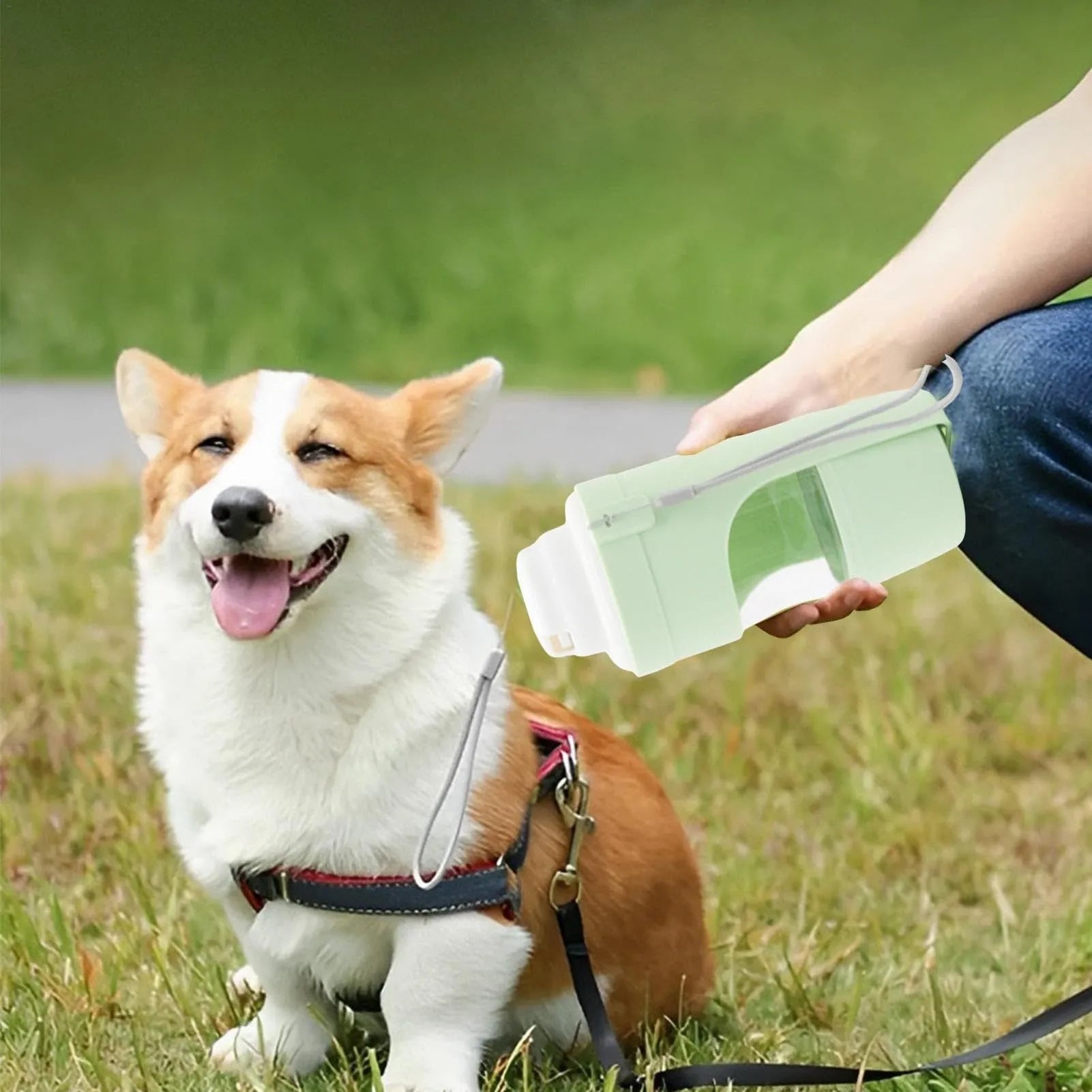 Grey folding travel dog water bottle with attached lanyard and separate food container, shown next to a backpack.