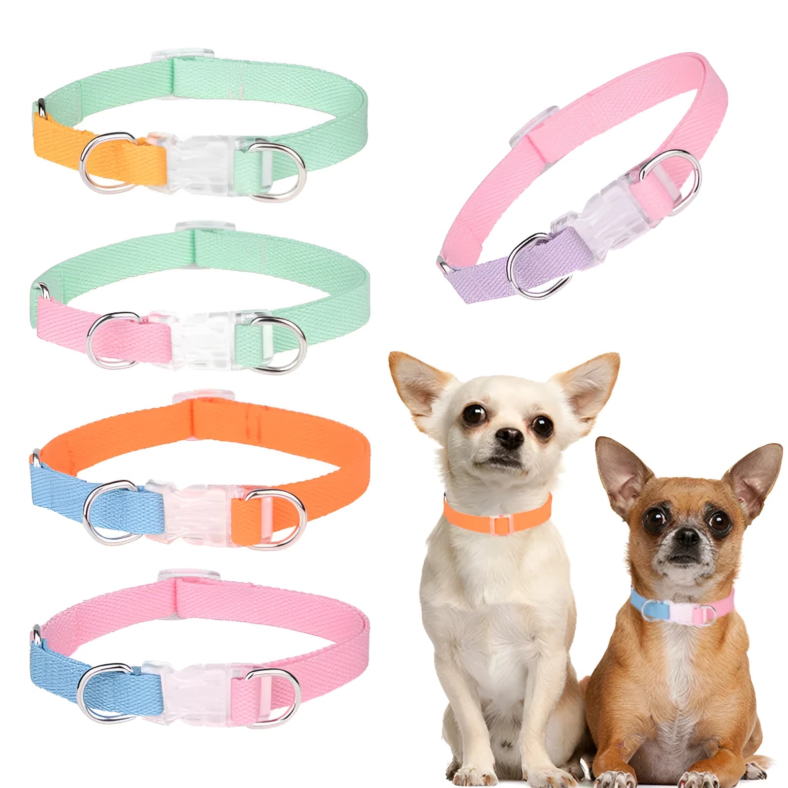 Set of pink and blue polyester ribbon dog collar, matching chest harness, and hand-held rope lead.