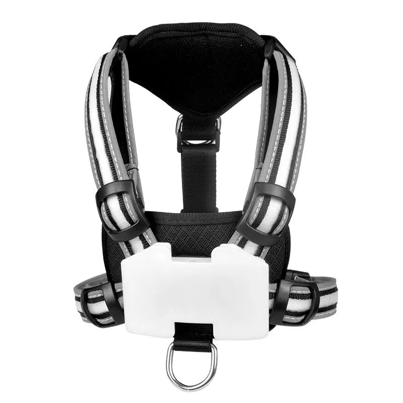 Seven-colour LED dog leash with nylon strap and charging cable in multiple size options
