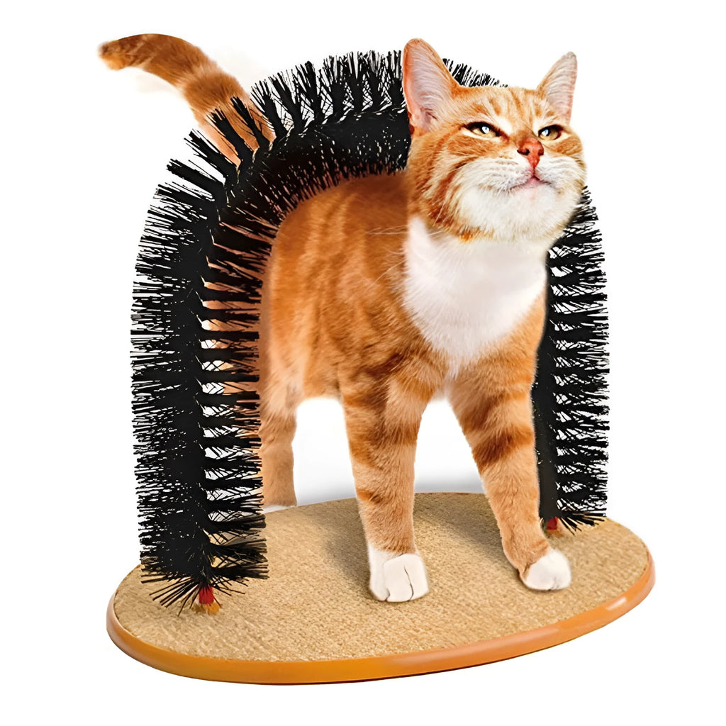 White plastic cat grooming arch with built-in brush bristles for scratching and self-grooming