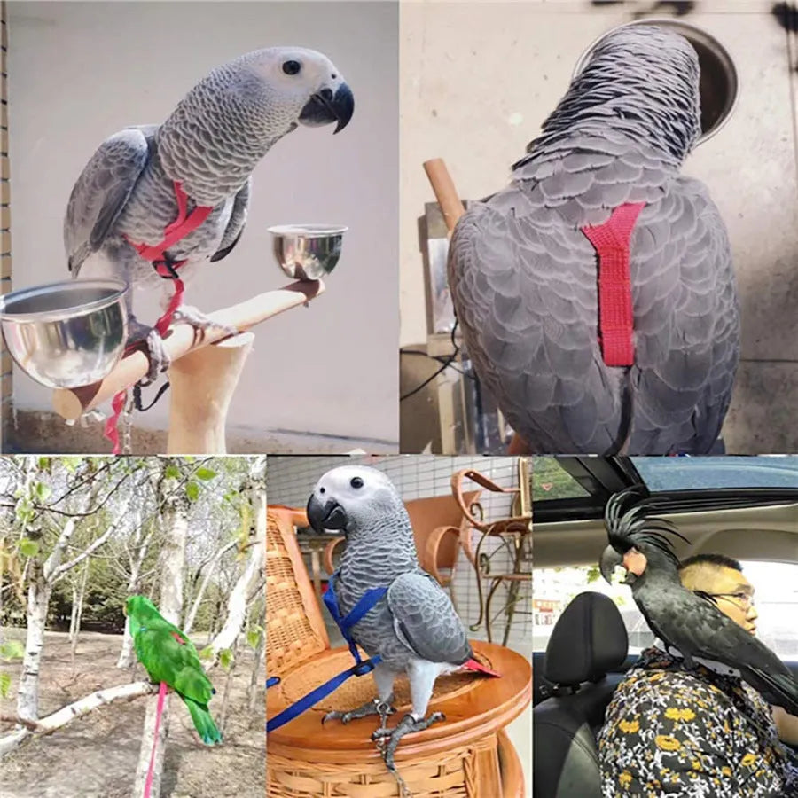 Parrot flying rope harness with soft silk satin strap and metal chain, adjustable sizes XXS to XL