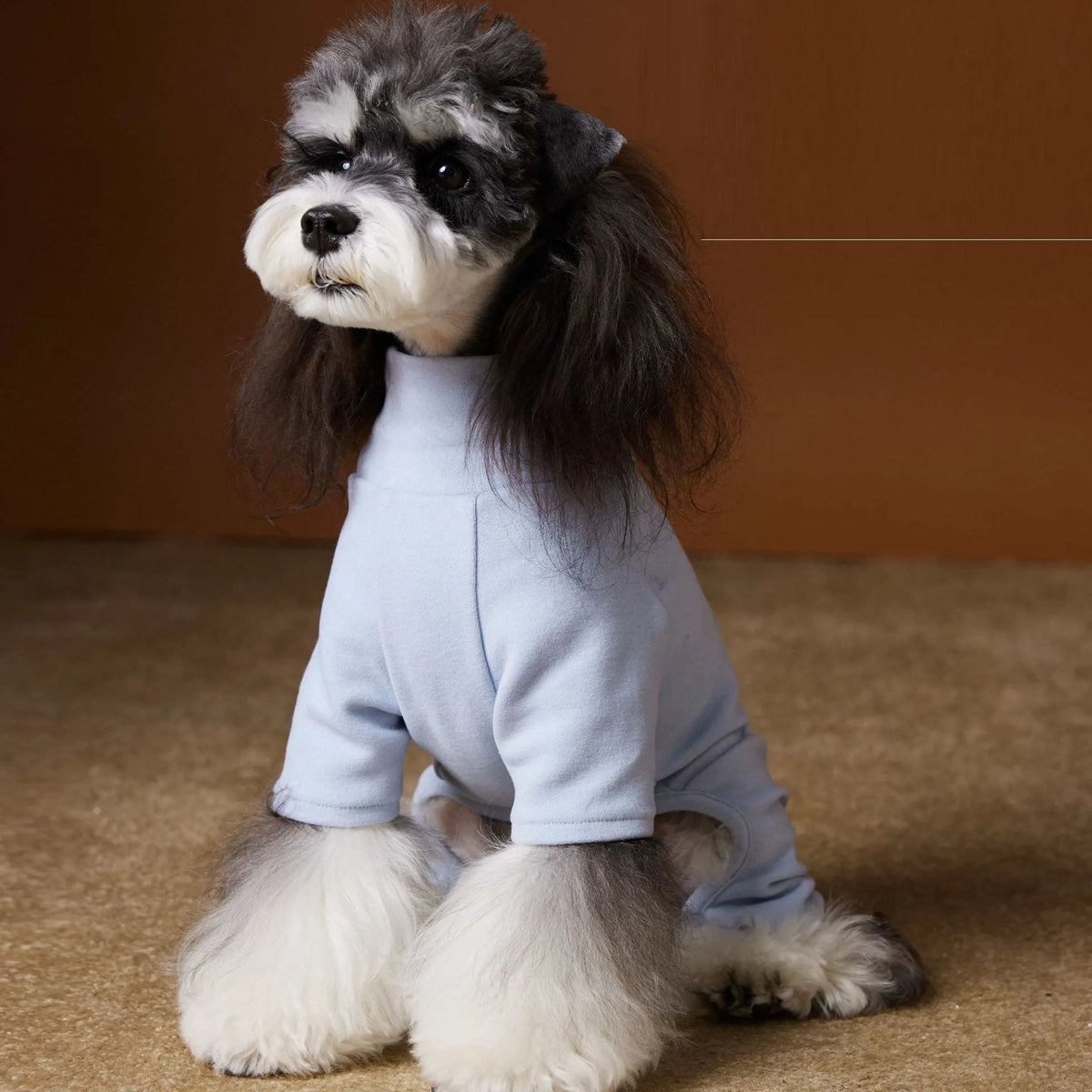Four-leg polyester pet shirt for Schnauzer and Bichon in blue or pink, sizes XS to XXL