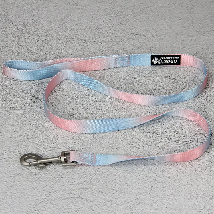 Nylon dog leash and collar set showing gradient colour pattern in pink and blue
