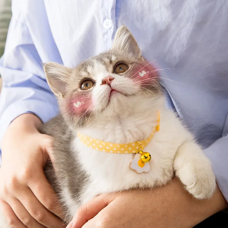 Adjustable cat collar with bell and decorative bow tie pendant in multiple colours