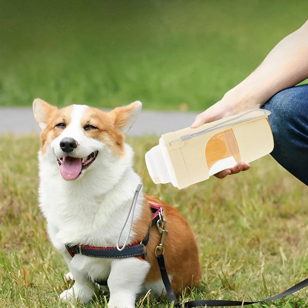 Grey folding travel dog water bottle with attached lanyard and separate food container, shown next to a backpack.