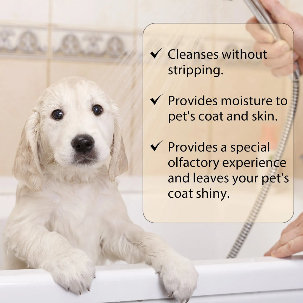 Bottle of mild pet shampoo for cats and dogs, available in 100ml and 300ml sizes.