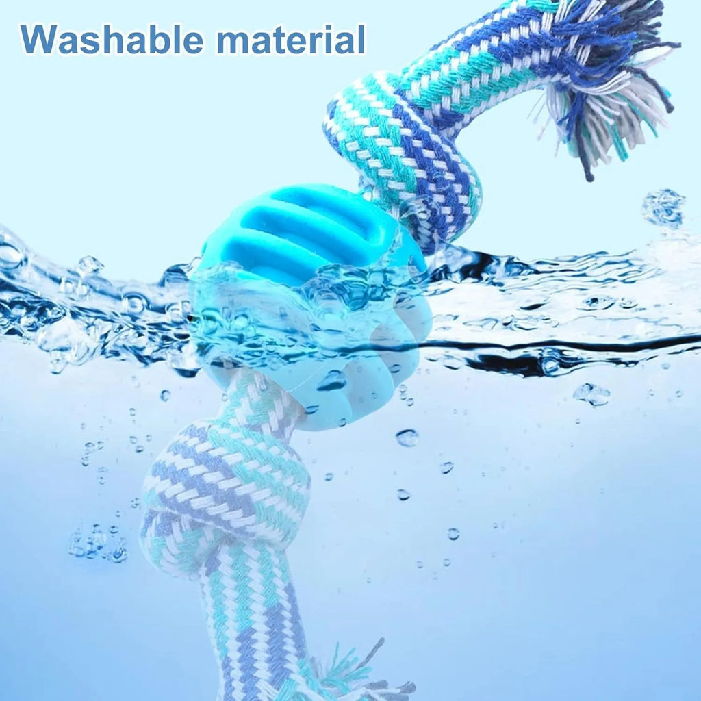 Blue molar-shaped dog chew toy with natural rubber rope attachment for dental cleaning