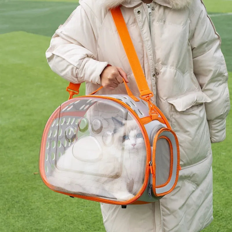 Transparent hard-sided EVA cat carrier backpack in large size for cats up to 9kg