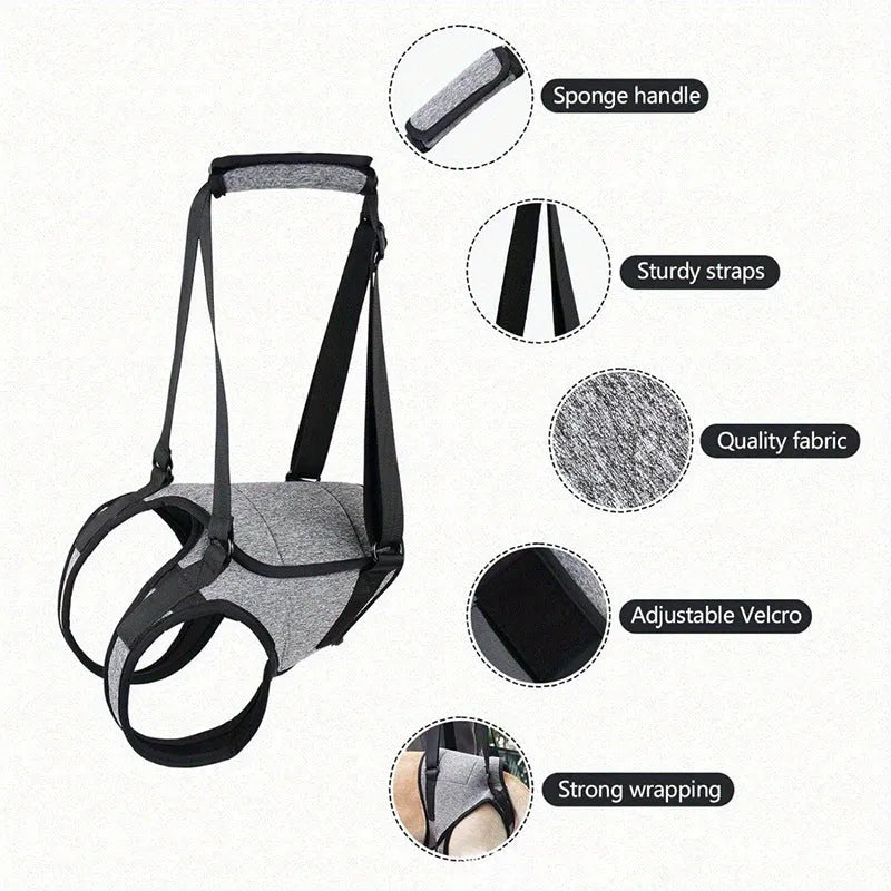 Grey neoprene dog hind leg recovery support belt with adjustable waist and thigh straps