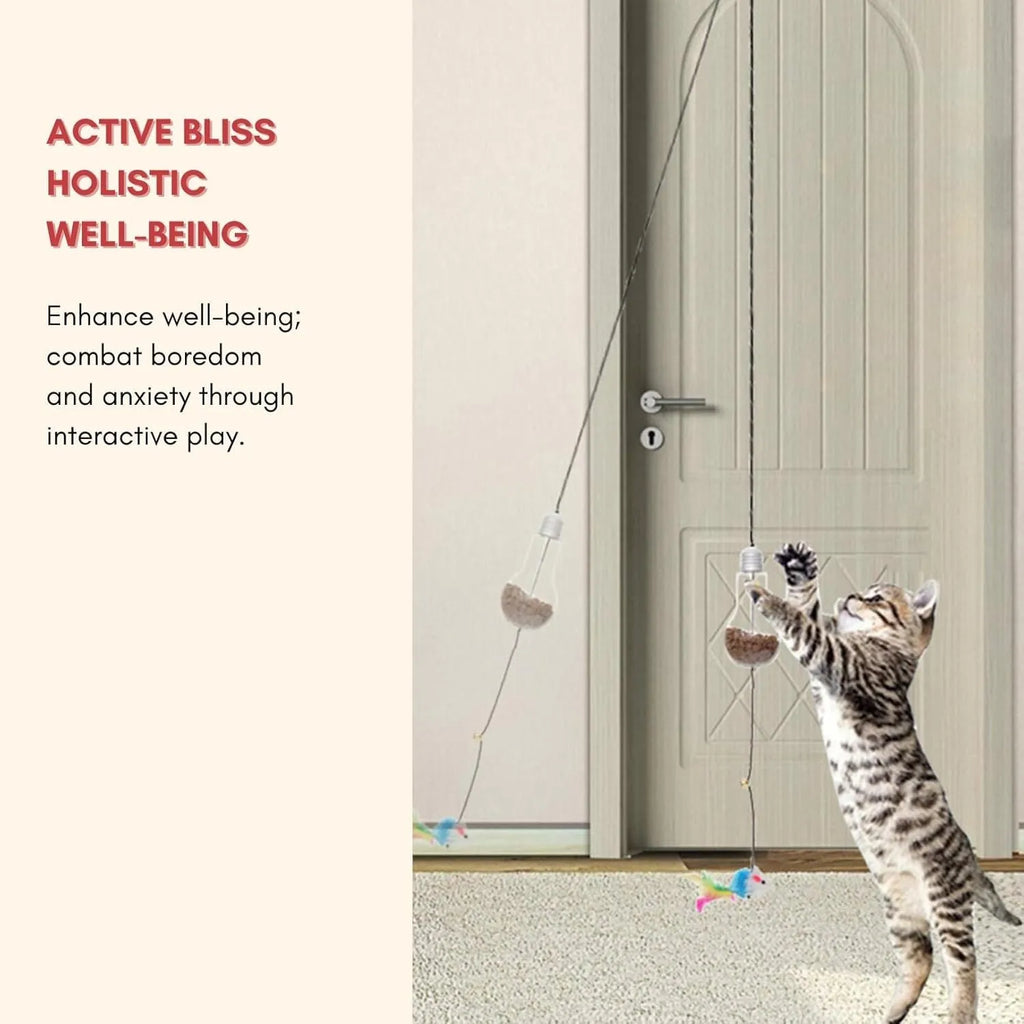 Interactive hanging cat toy with swinging mouse and chicken attachments, treat bulb, and retractable elastic rope