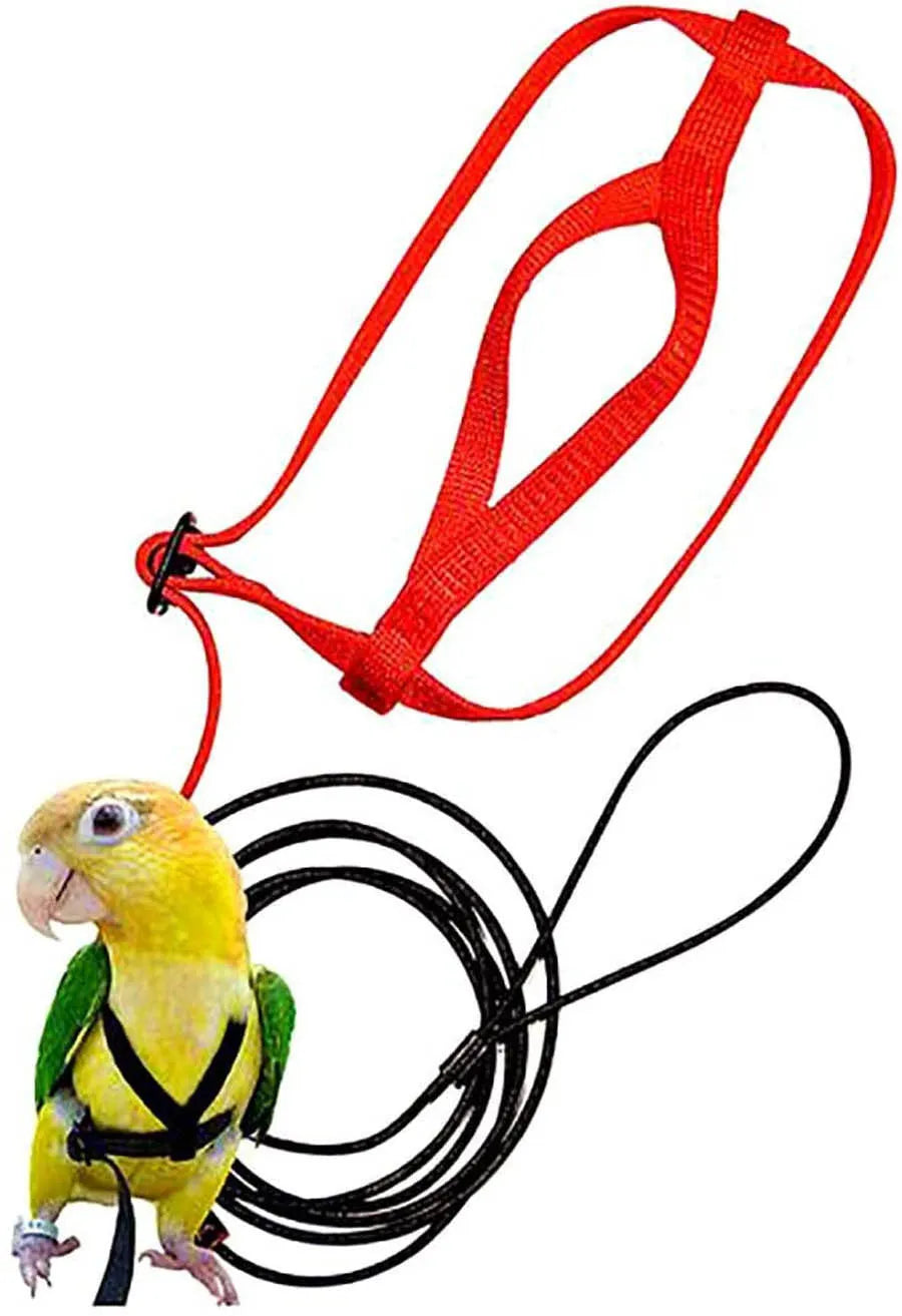 Parrot flying rope harness with soft silk satin strap and metal chain, adjustable sizes XXS to XL