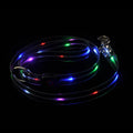 PVC luminous dog lead in fluorescent green, showing clip and handle, 25cm wide.