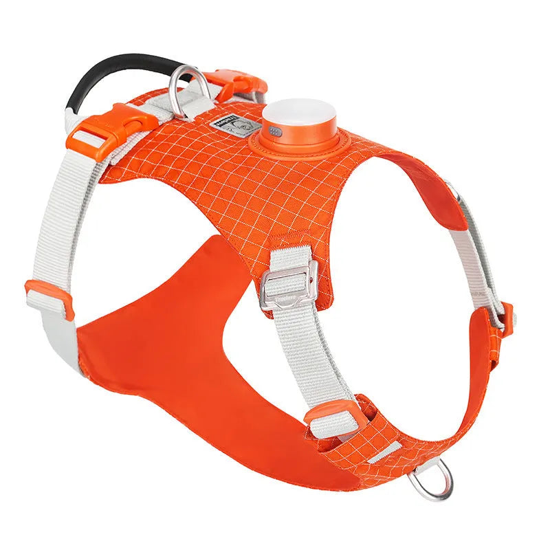 LED dog harness with chest strap in nylon material shown in multiple colour options