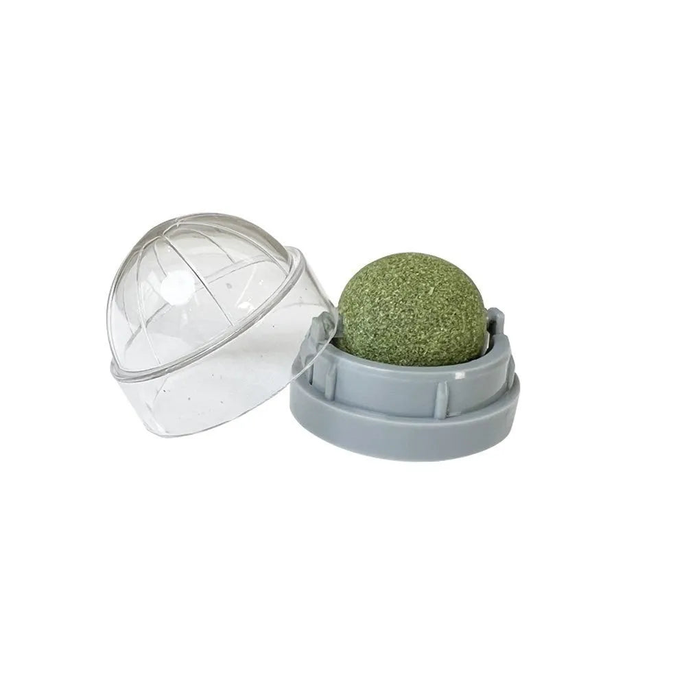 Plastic catnip ball toy in assorted colours including pink, blue, green, purple, grey, and white