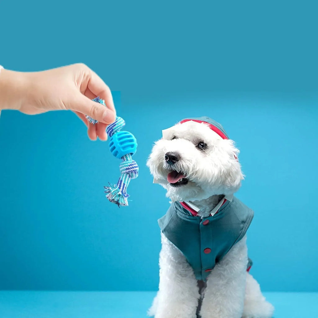 Blue molar-shaped dog chew toy with natural rubber rope attachment for dental cleaning