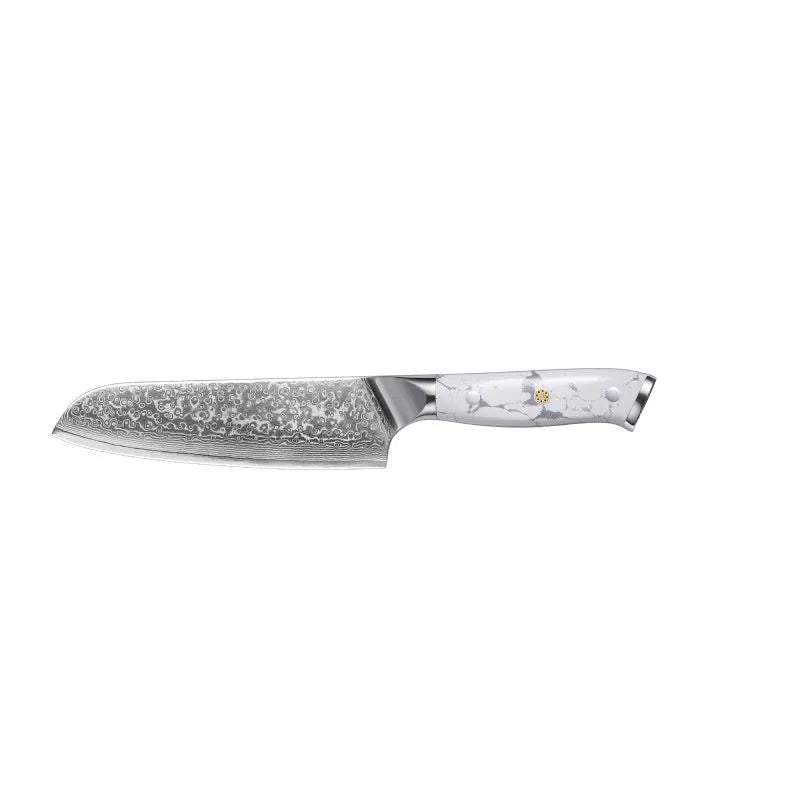 Damascus pattern chef's knife with a 21cm VG10 steel blade on a dark background.