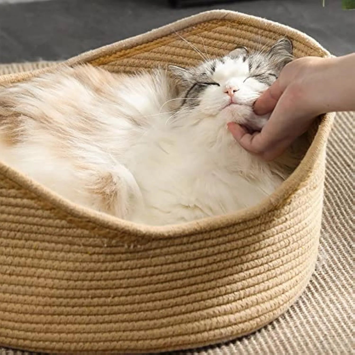 Wicker cat bed basket with a corrugated scratching surface, shown in two sizes.