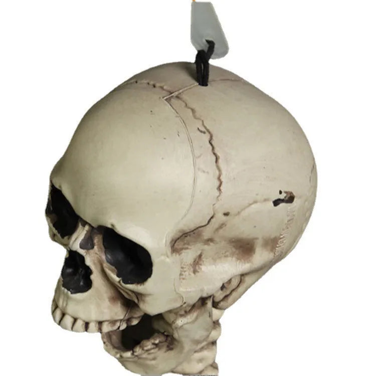 170cm tall plastic skeleton prop with detailed simulation skull for Halloween and teaching