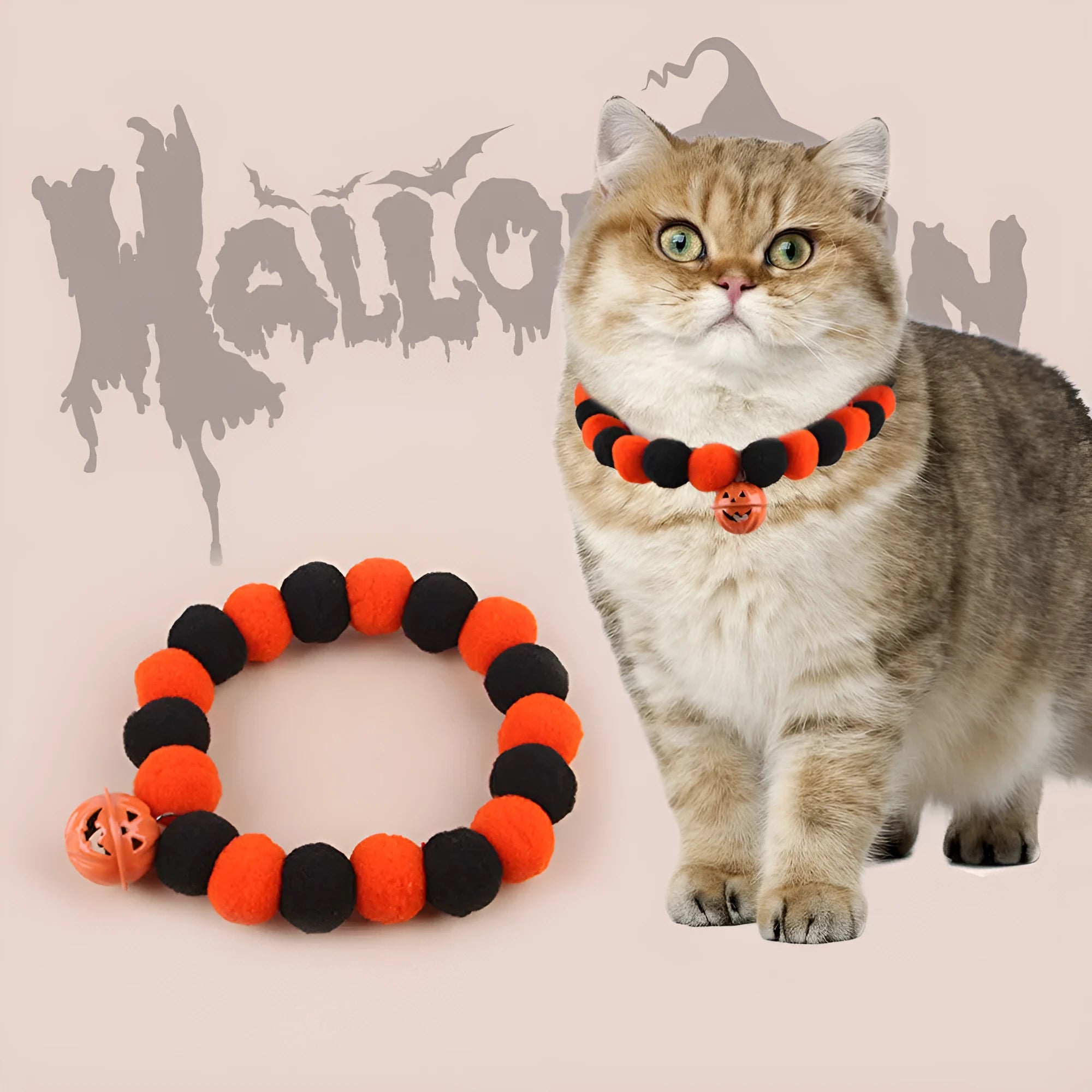 Orange and black pumpkin-shaped adjustable cat collar for Halloween.