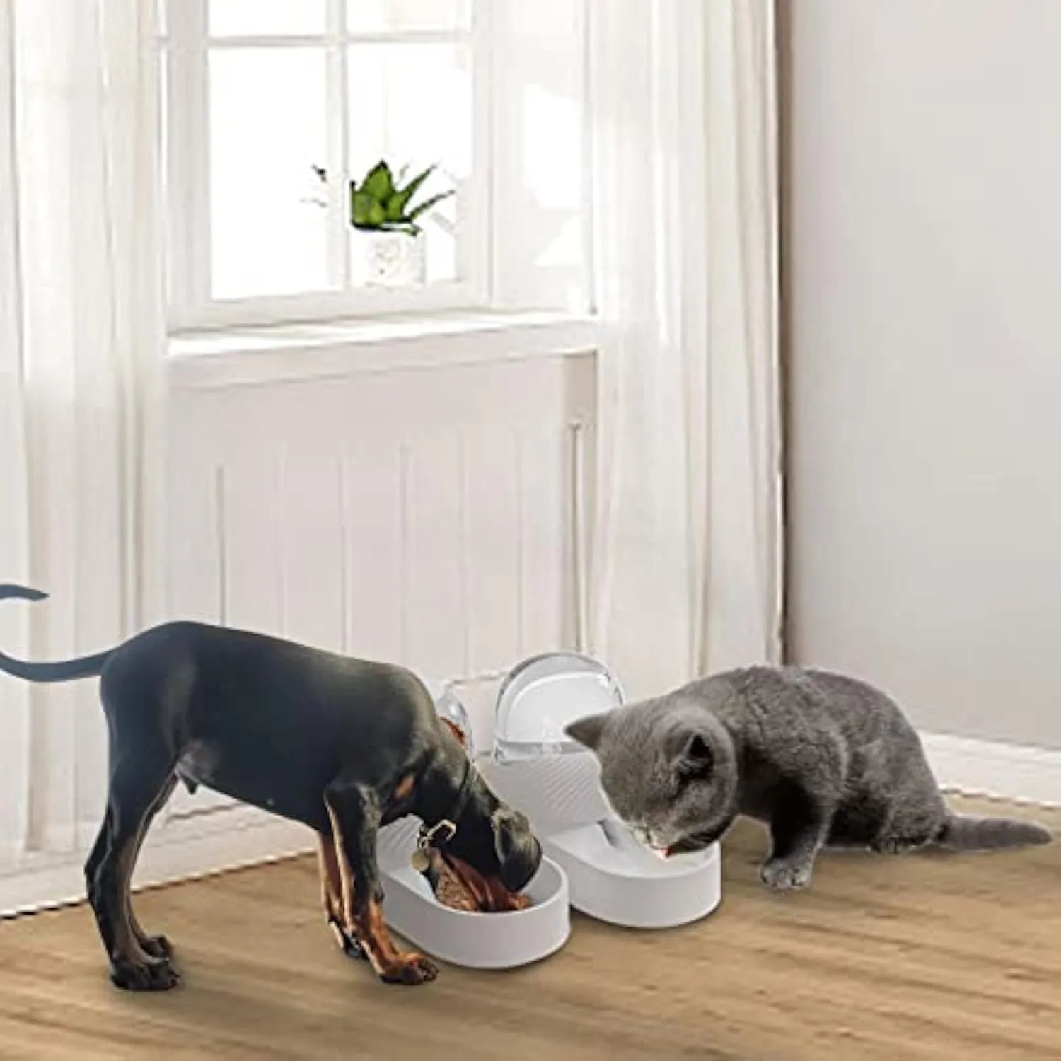 Pure white automatic cat feeder and water dispenser set with wave-shaped design.