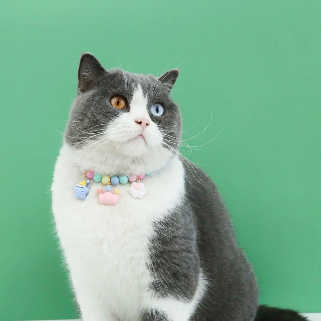 Macaron-coloured pet accessory set with resin headdress, collar, necklace and bracelet for photography