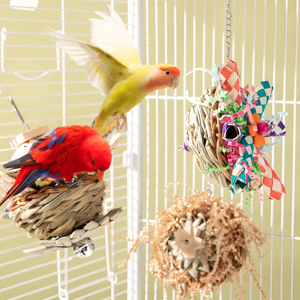 Parrot gnawing toy with coloured wood blocks on rope for small to medium birds