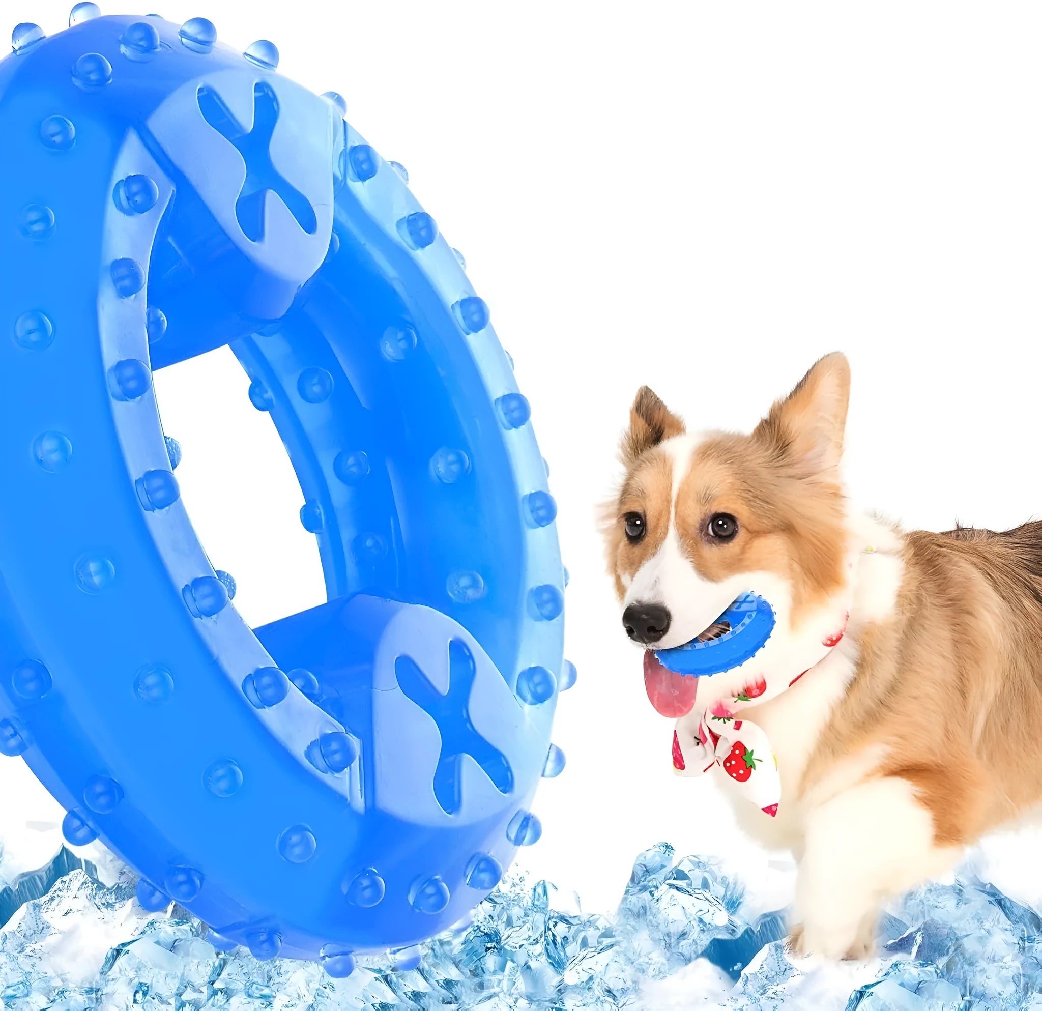 Freezable bone-shaped and circle-shaped dog cooling chew toy filled with purified water.