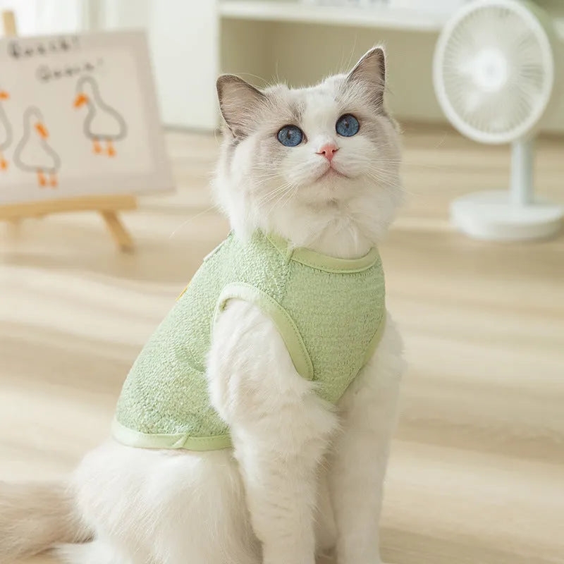 Hollowed-out cat clothes with bear patch in knitted fabric, shown in green colour