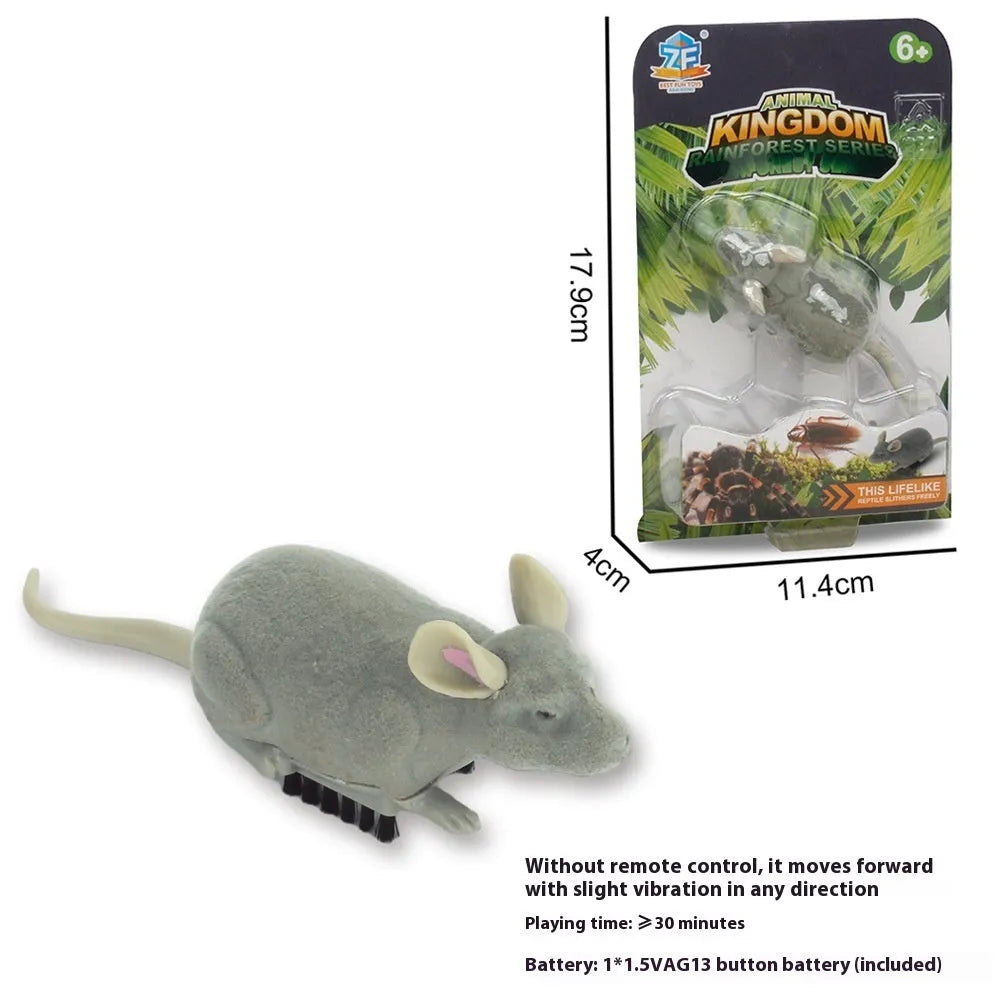 Electric vibrating walking insect simulation toy for cats and dogs in plastic cockroach, dragonfly, tarantula, or mouse styles.