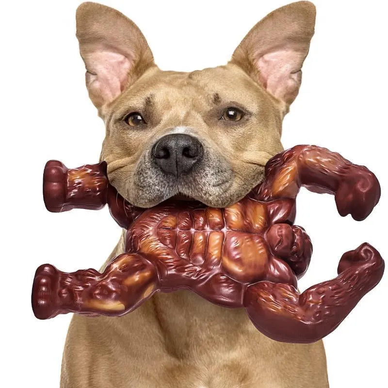 Scarlet red nylon dog molar chew toy with beef flavour coating for dental health