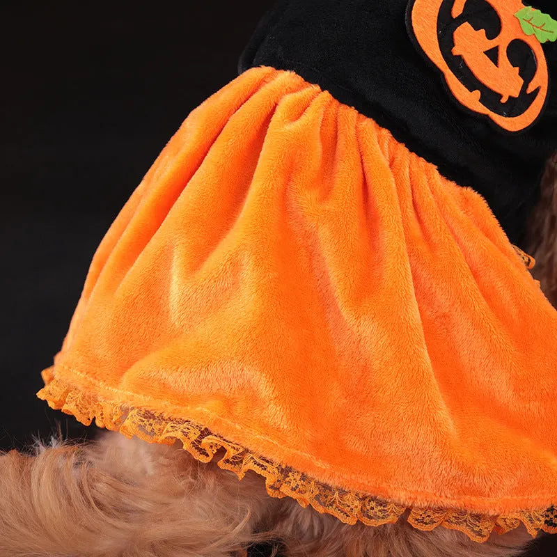 Halloween pumpkin skirt pet costume on a small dog next to a Halloween sweater style variant.