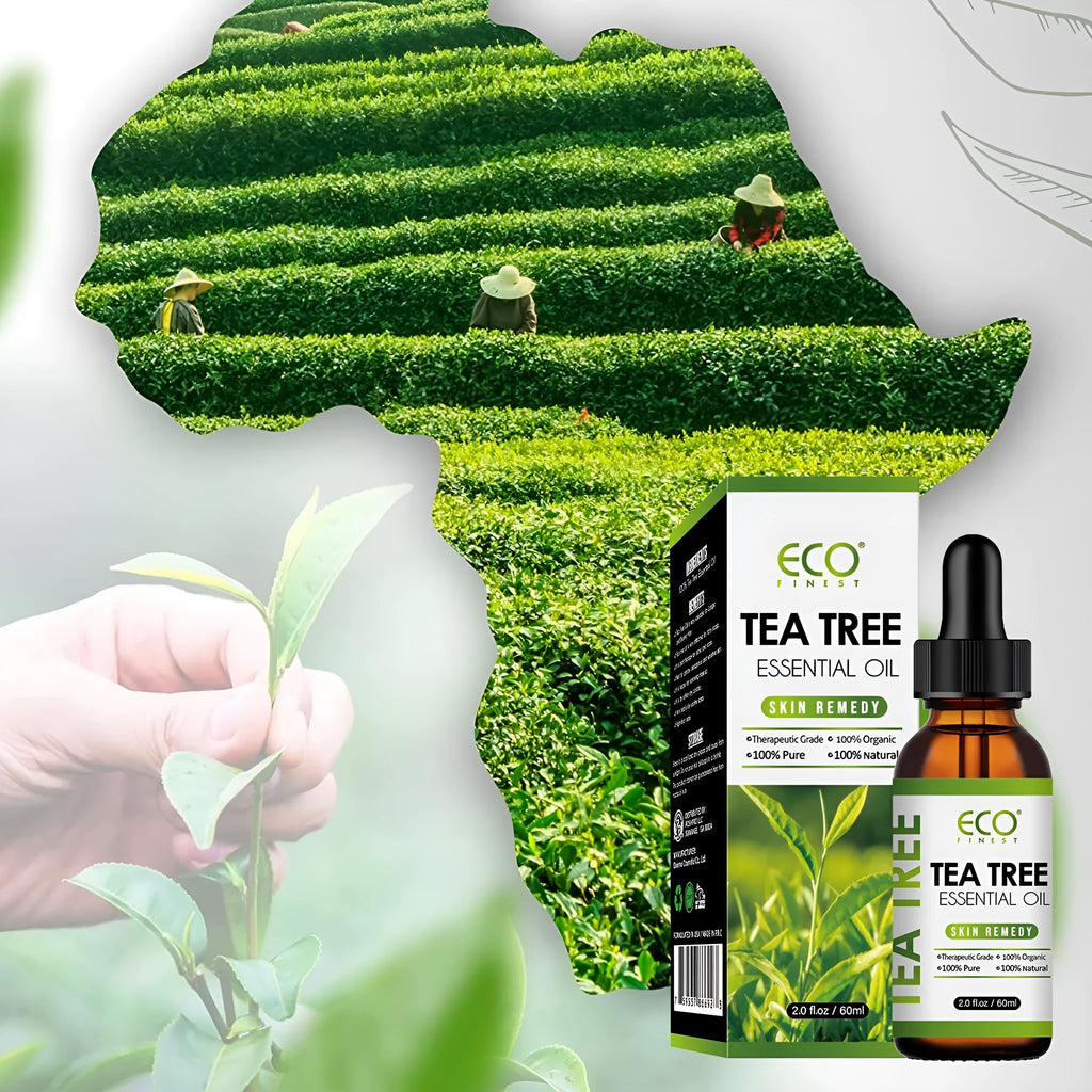 60ml bottle of pure tea tree essential oil for facial skin treatment and massage