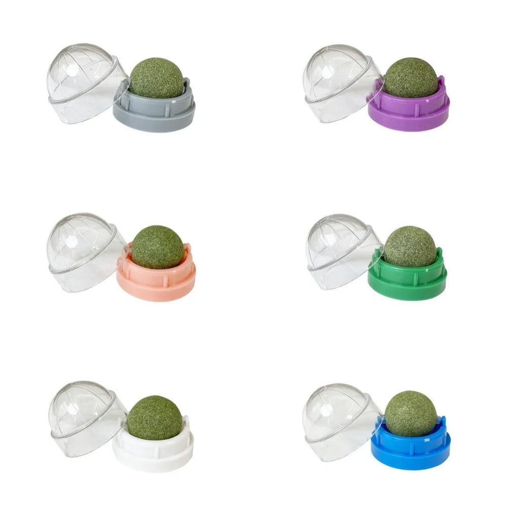 Plastic catnip ball toy in assorted colours including pink, blue, green, purple, grey, and white