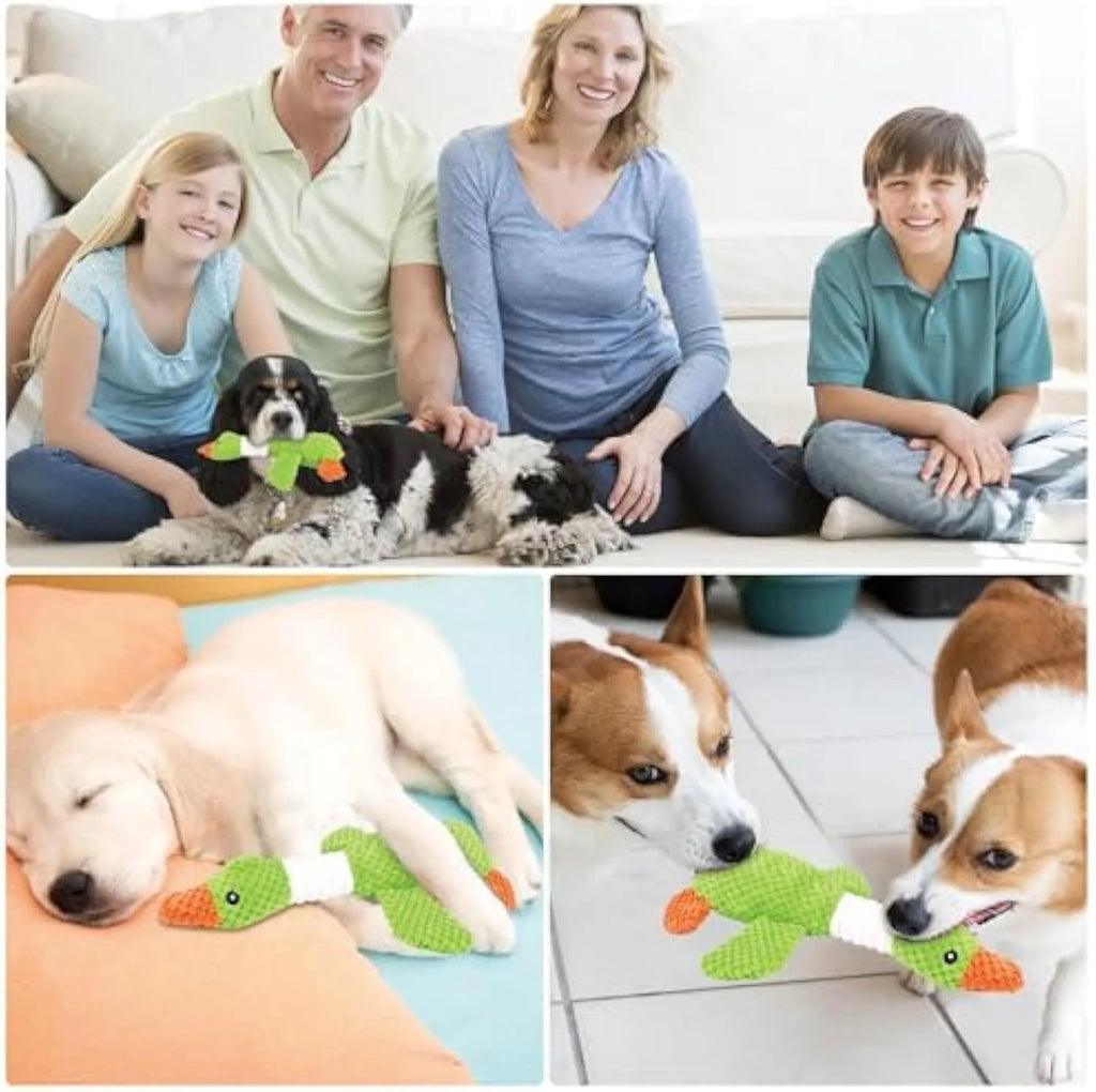 Blue, green or grey duck-shaped dog plush toy with squeakers, measuring 33 cm