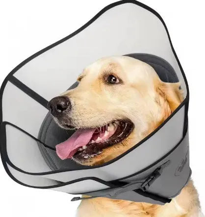Polyester pet sterilization collar in adjustable sizes with anti-bite ring