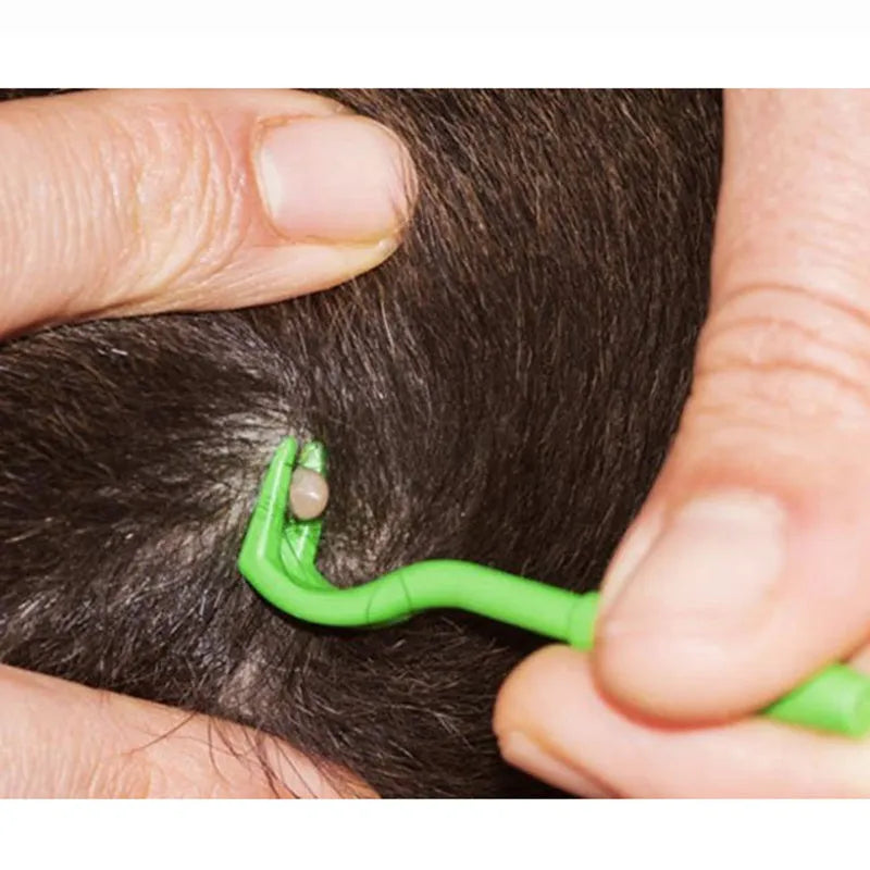 Set of three blue and green plastic pet tick removal clips on a white background.