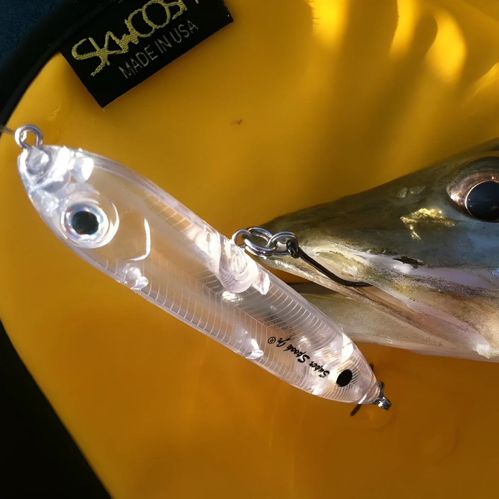 Transparent 9.5cm long blank soft plastic fishing bait body on a white background.