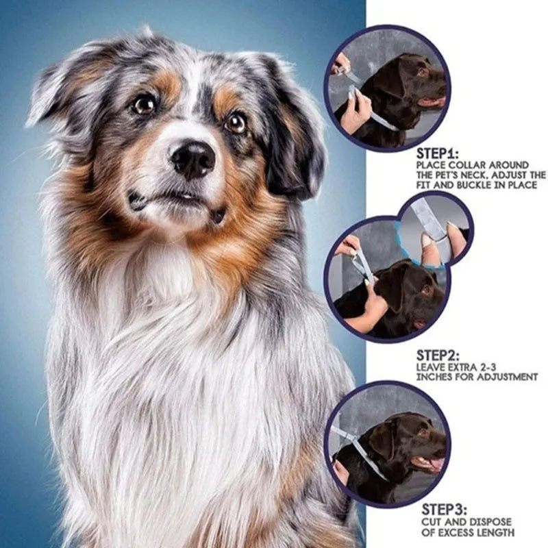 Rainbow plastic flea and anti-lice collar for cats and dogs in two sizes