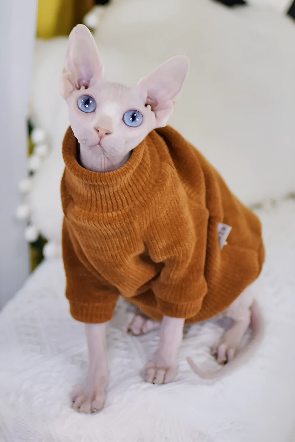 Caramel brown chenille hairless cat jumper, thickened for winter, unisex, sizes XS to XXL.