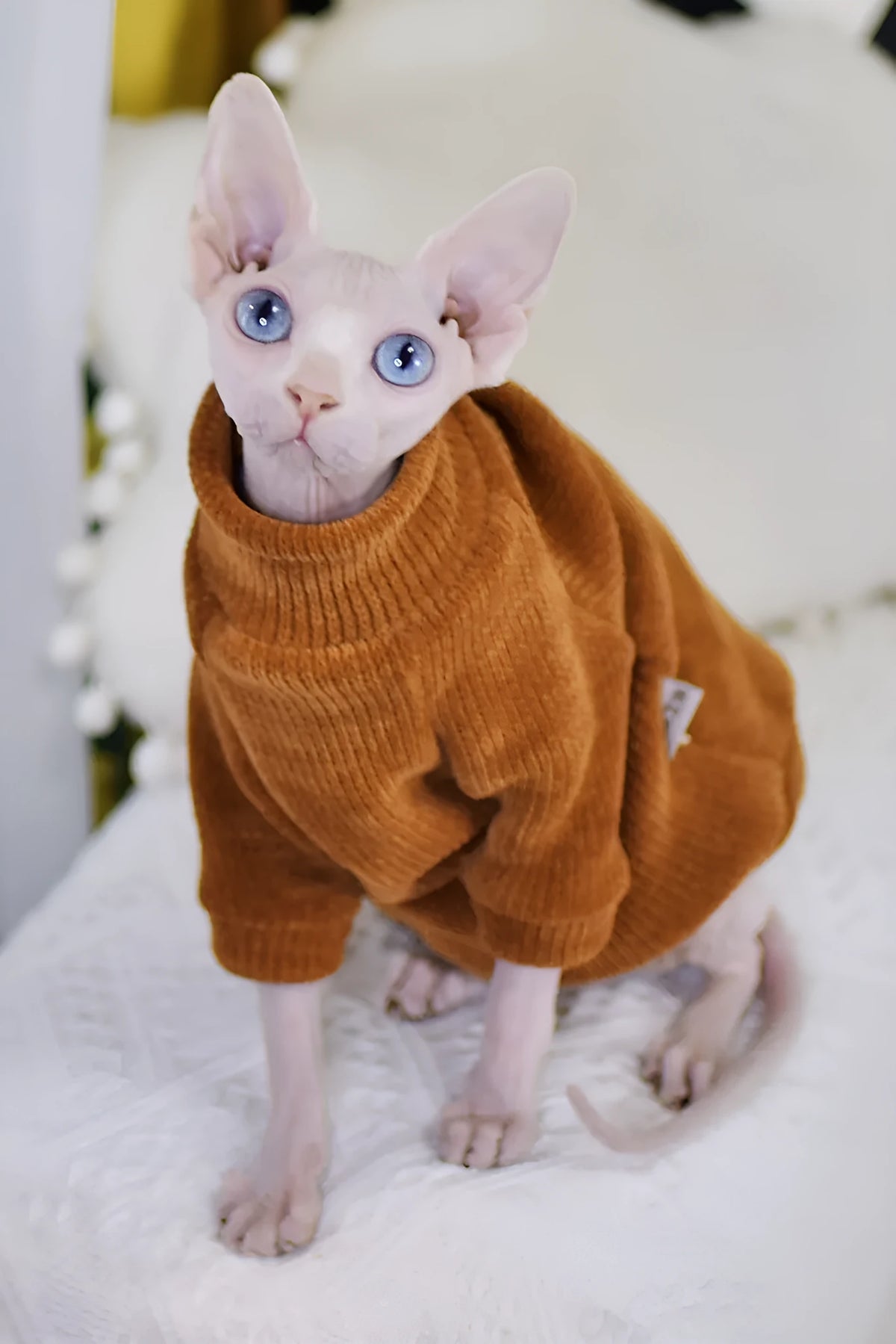 Caramel brown chenille hairless cat jumper, thickened for winter, unisex, sizes XS to XXL.
