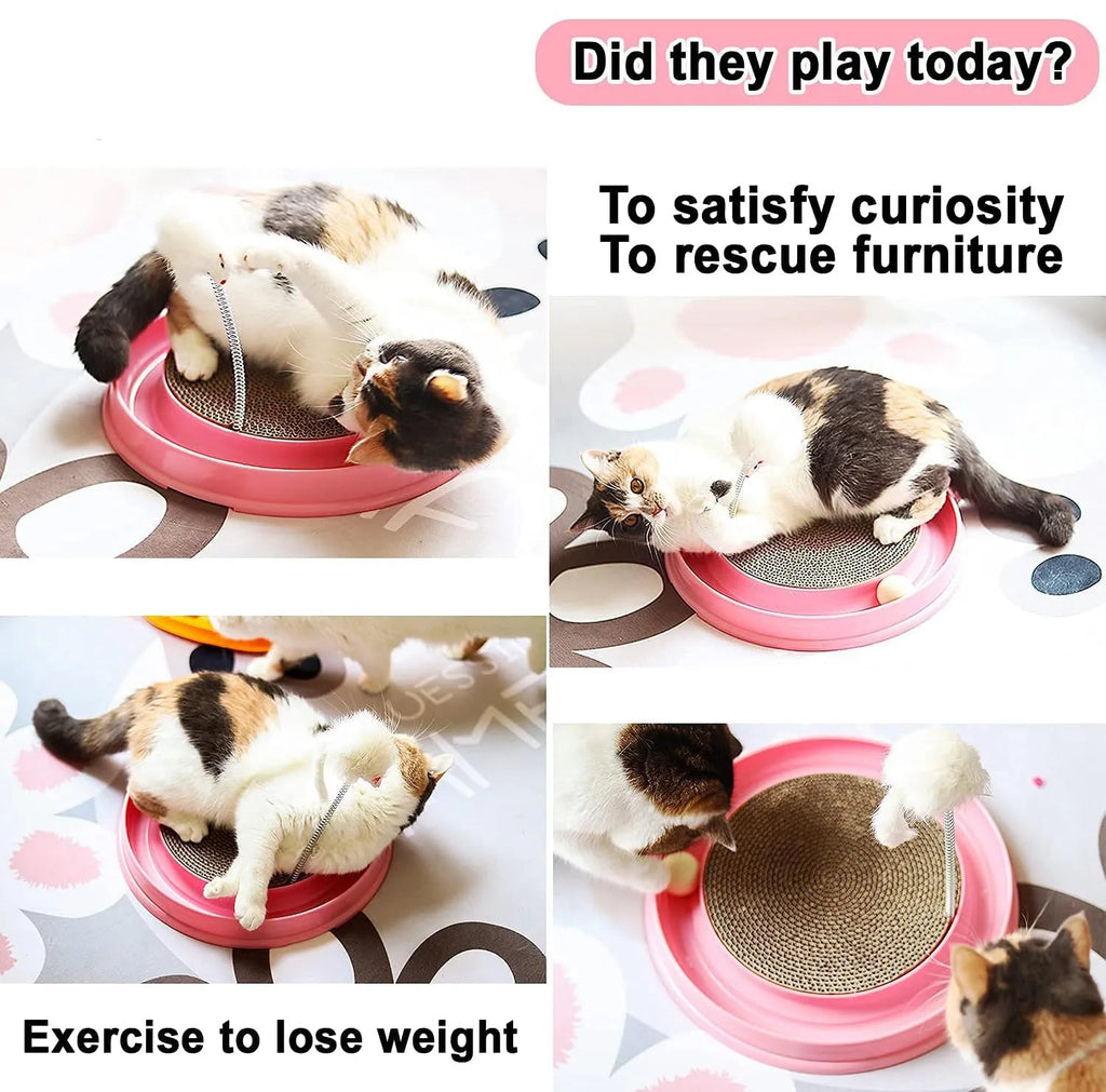 Circular blue cat scratcher with ball track and replaceable cardboard centre for indoor play