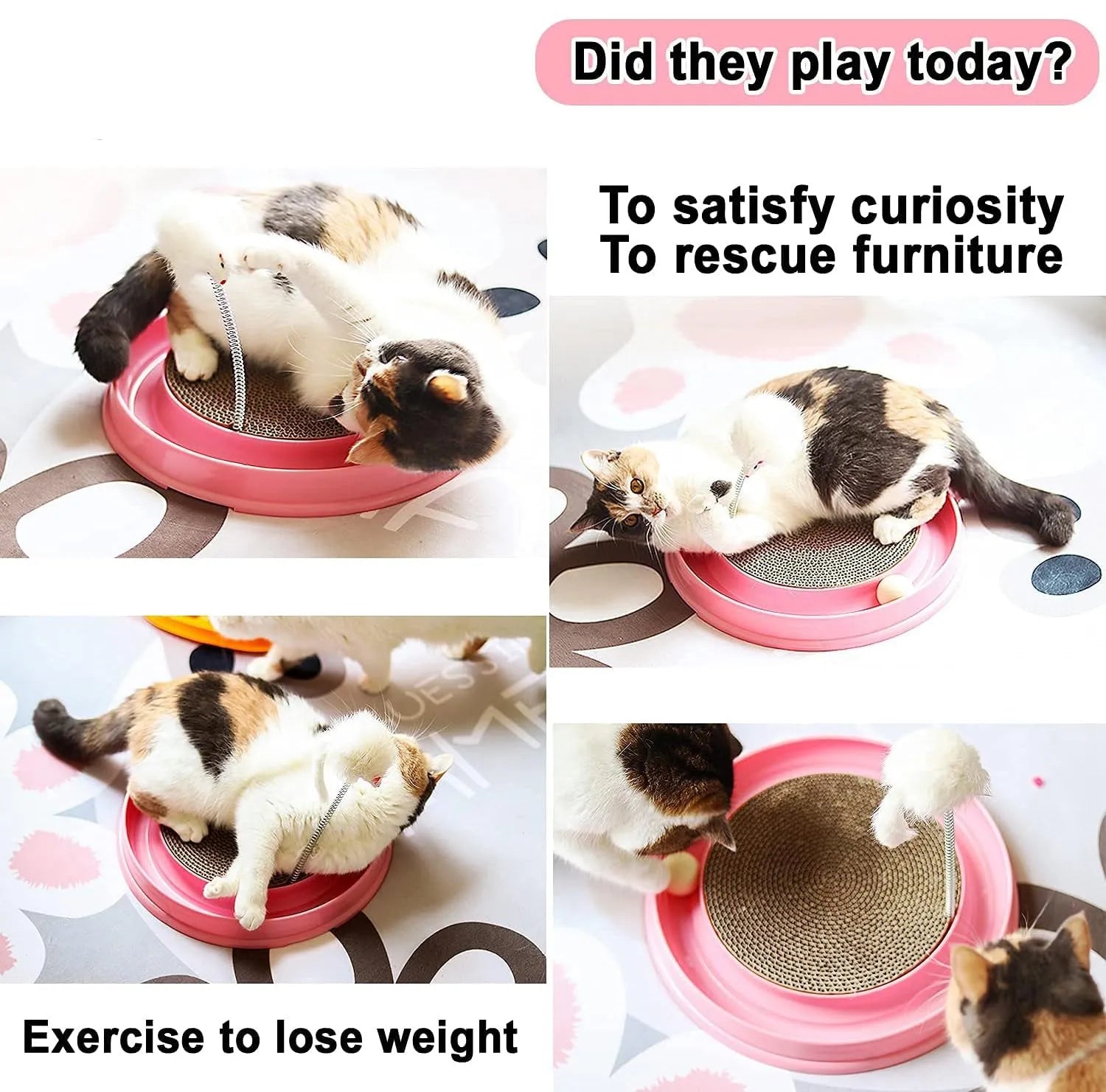 Circular blue cat scratcher with ball track and replaceable cardboard centre for indoor play