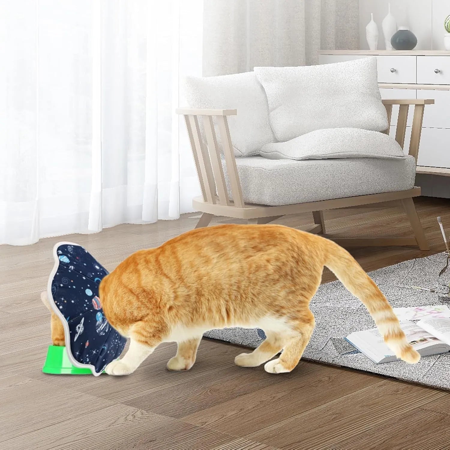 Soft adjustable cat recovery collar in use showing comfortable fit and normal eating position