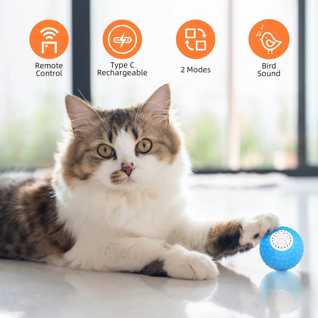 Remote control cat ball toy in blue, green or yellow colours with motion-activated rolling and sound features