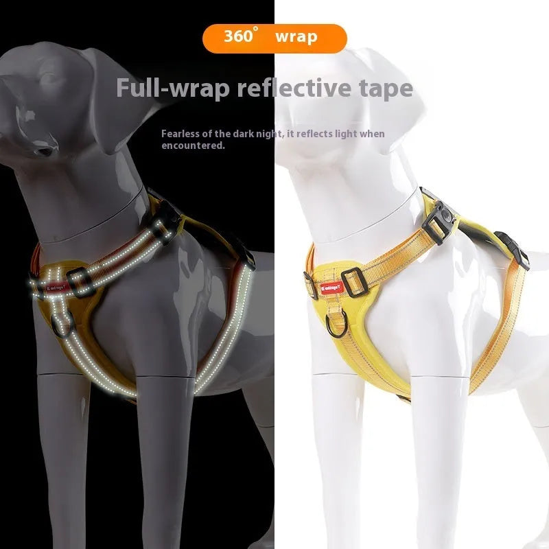 Adjustable dog harness and lead set in various colours with chest strap design