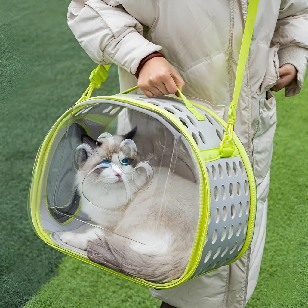 Transparent hard-sided EVA cat carrier backpack in large size for cats up to 9kg