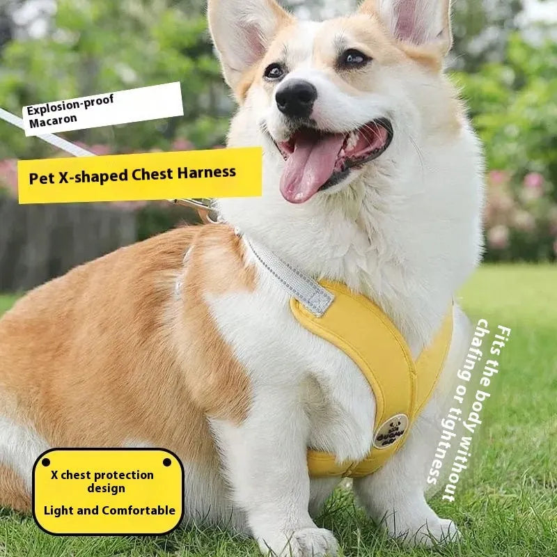 Blue adjustable polyester dog harness vest with a matching hand holding rope on a white background.